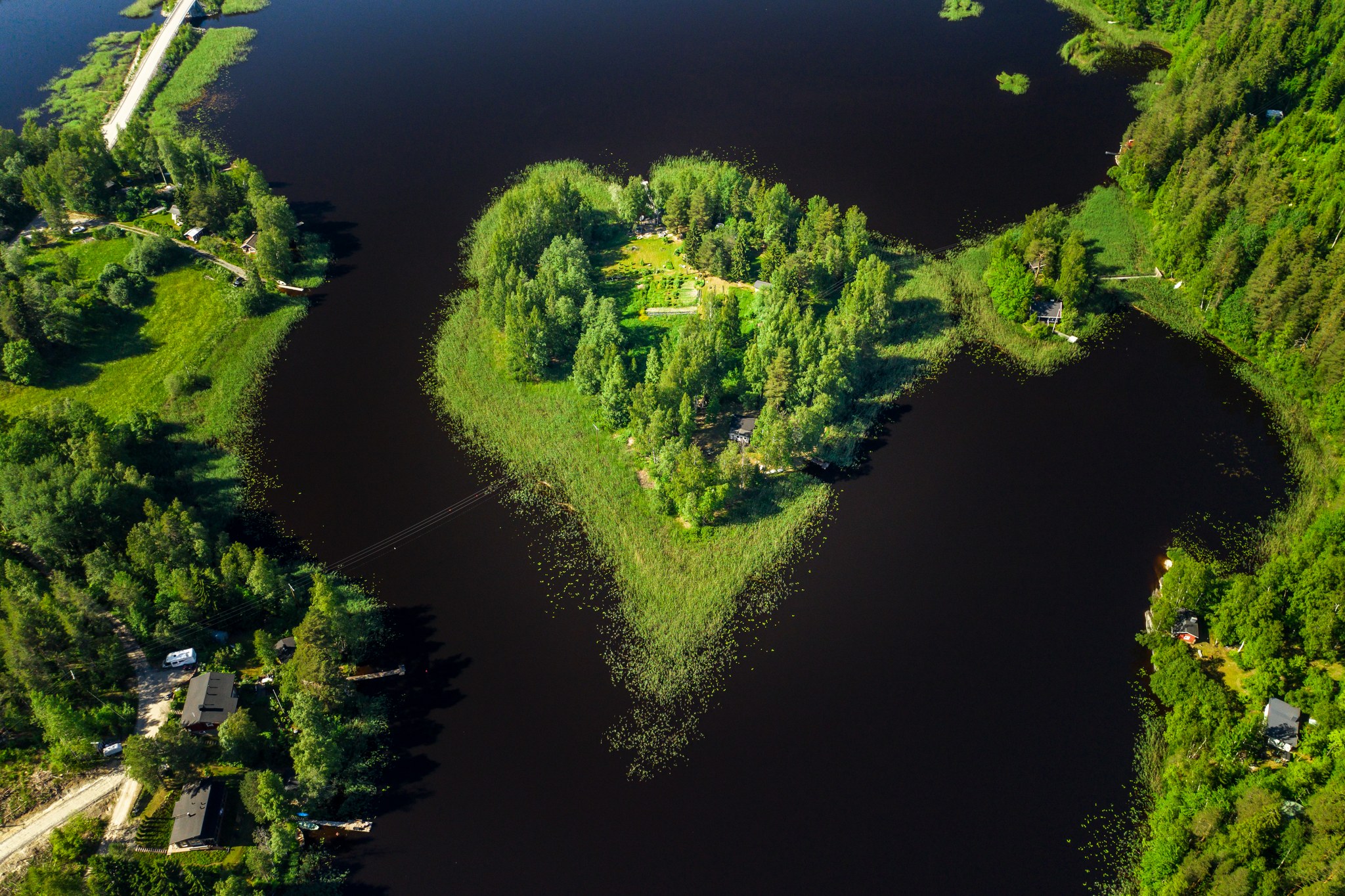 Harri Einämö tarkistaa tulevan sadon.