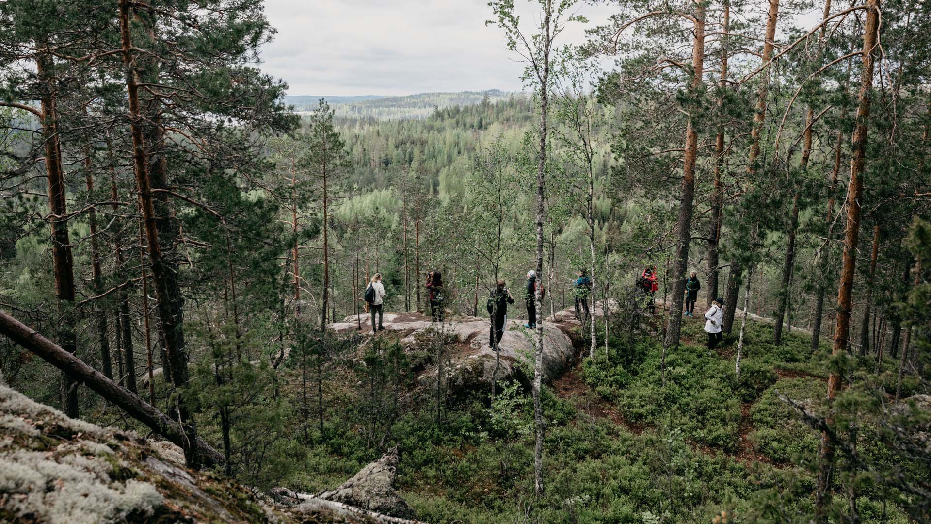 Neitvuoren maisemat ovat Anttolaan suuntautuvan retkikokonaisuuden pääkohde.
